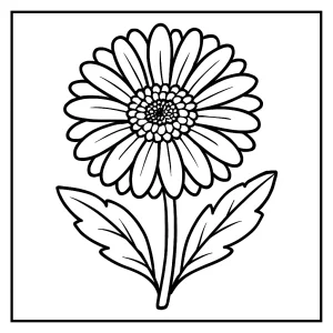 Gerbera omalovánka – detailná coloring page kvetiny na vyfarbenie