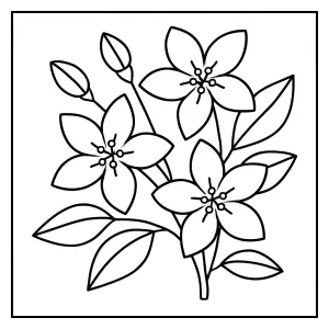 Omaľovánka jazmínu na vytlačenie – coloring page s kvetmi pre deti