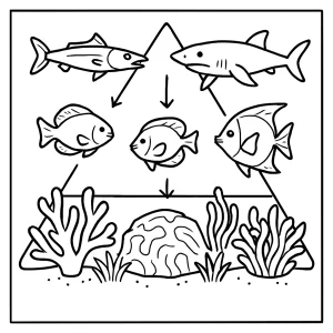 Potravinová pyramída koralového útesu coloring page – omaľovánka s druhmi a šípkami na vyfarbenie