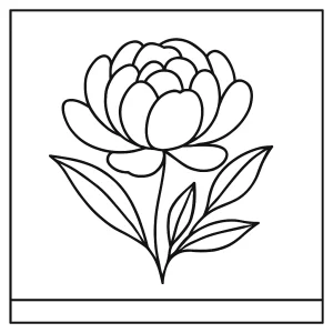 Minimalistická omalovánka pivónie v zenovom štýle – coloring page na vyfarbenie zadarmo